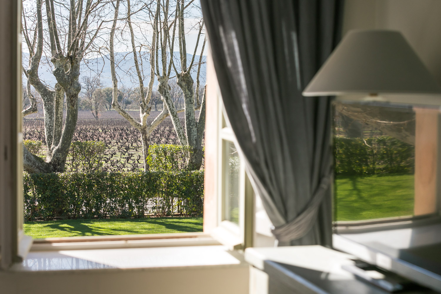 Vineyard window view